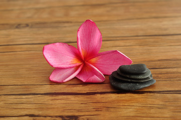 Fototapeta na wymiar A pink frangipani flower displayed with a stack of pebbles 