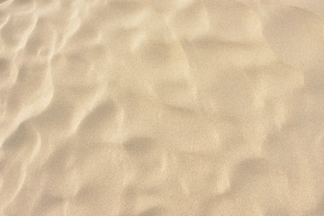 鳥取砂丘の風紋