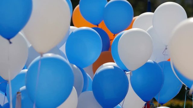 Color helium balloons fly. Festive balloons fastened together.