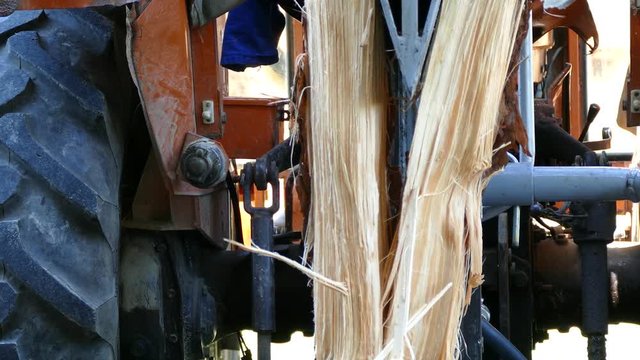 Splitting firewoods with log splitter, close up, UHD