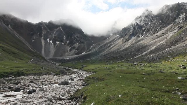 The mountain river in a green valley after rain