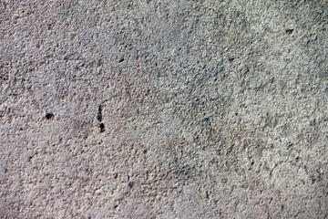Cement floor Texture