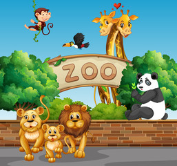 Obraz na płótnie Canvas Scene with wild animals at the zoo