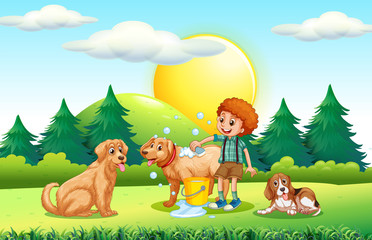 Boy giving dogs bath in the park