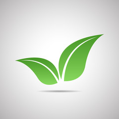 Abstract vector icon - leaf (natural product)