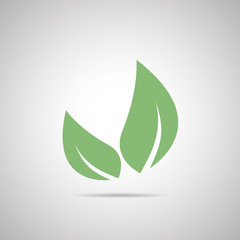 Abstract vector icon - leaf (natural product)
