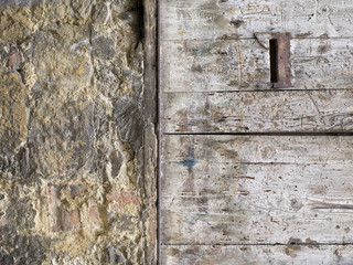 tree bark and old wooden texture