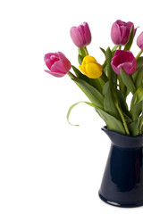 colorful tulips on the vase