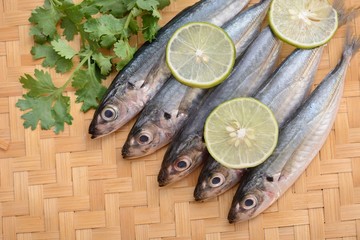 fresh sardine fish in the bamboo basket
