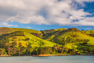New Zealand Otago Region coastal landscape