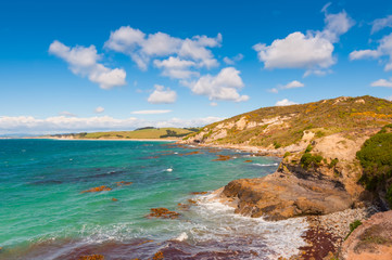 Fototapeta na wymiar New Zealand coastal landscape