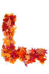 Naklejka na ściany i meble alphabet sign from autumn leaf