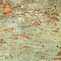 grungy wall Sandstone surface background