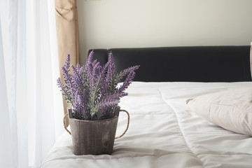 Purple Lavender flower on bed.