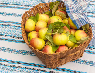 Basket with apples