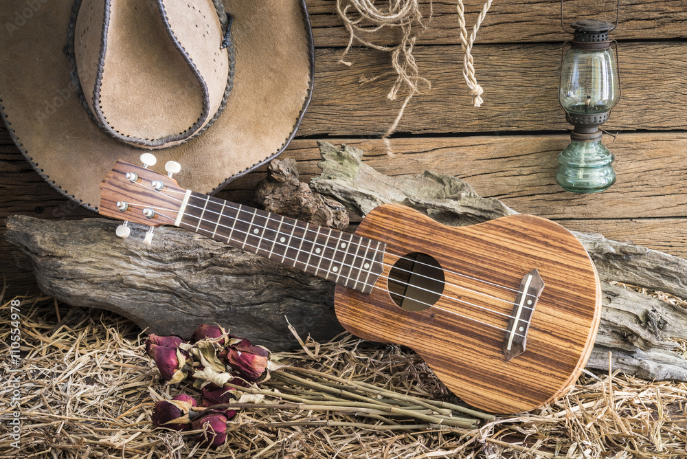 Wall mural Still life photography with ukulele and dry roses with american west rodeo brown felt cowboy hat in vintage ranch barn background