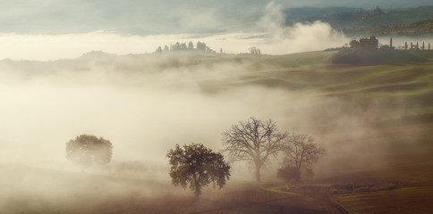 Landscape with Trees and Fog