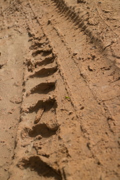Low angle view vertical CU muddy jungle road with knobbed tire tracks heading straight