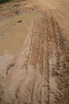 Low angle vertical medium shot of muddy jungle road with soft mud on the left side and fresh tire track.