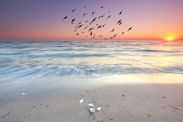 Obrazy na Szkle  dzień zaczyna się nad morzem, wschód słońca na plaży