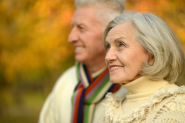 Fototapeta premium Senior couple in autumn park