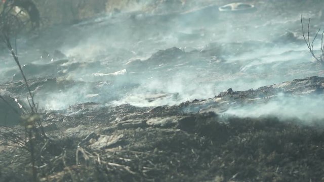 Close up shot of smoke billowing off the charred ground in the aftermath of a grass fire or brush fire.