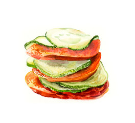 Vegetarian menu. Fried squash and tomato. Watercolor hand drawn illustration