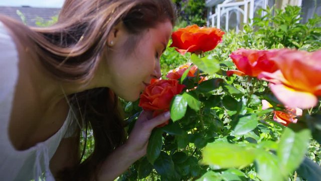  Close-up Portrait Of Beautiful Woman Smelling Roses In Her Garden