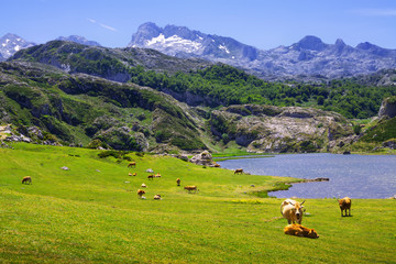 Fototapeta na wymiar mountains landscape with lake