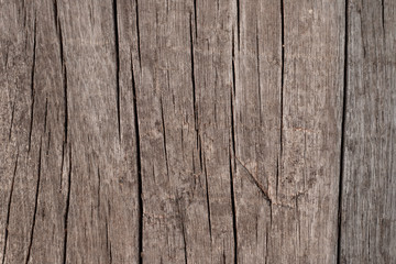 Wood Background Texture