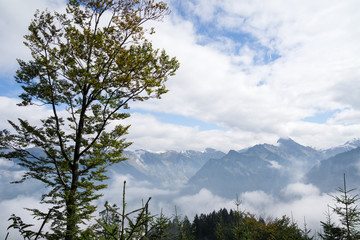 Panorama with foggy Alps