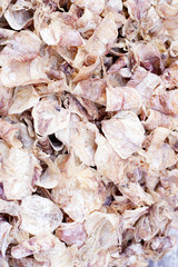 dried squid