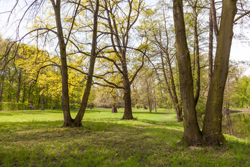 Nature at Castle Charlottenburg in Berlin