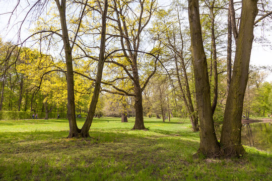 Nature at Castle Charlottenburg in Berlin