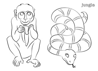 black and white image of a monkey and snake