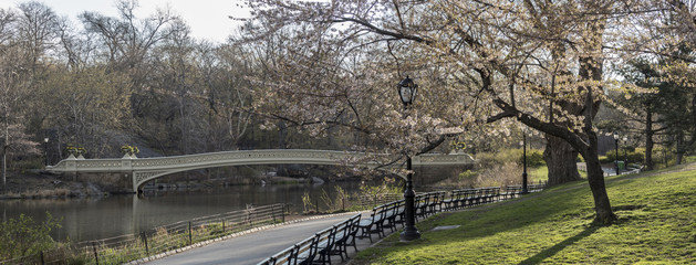 Obraz premium Bow bridge