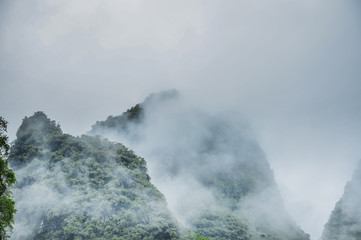 Beautiful rural scenery in the mist