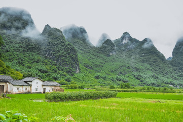 Fototapeta premium Beautiful rural scenery in the mist