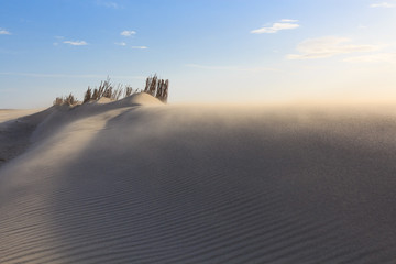 Dunes in Northern Europe