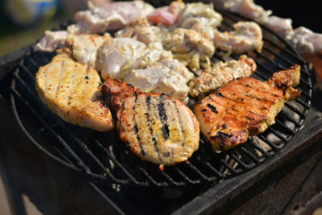 Spring grill