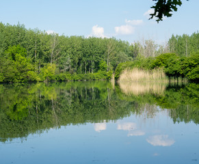 cloud's mirroring at the still surface of the lake