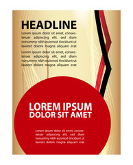 elegant brochure flyer design
