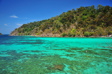 Beach on Tropical Islands at Summer Season