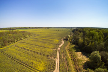 Obraz premium Spring time in latvian countryside.