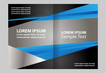 Fototapeta premium Professional business flyer, corporate brochure design template 