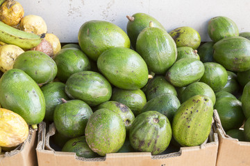 Früchte der Karibik