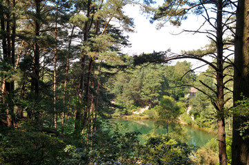 Obraz premium View of a calm lake with green and blue water