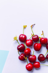 group of cherries on envelope, in a contemporary pastel color background