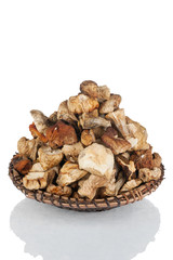 Dried mushroom slices on the plate  isolated