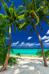 Twee palmbomen die een strandingang omlijsten naar de tropische blauwe lagune